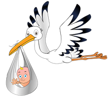 Storch Clipart