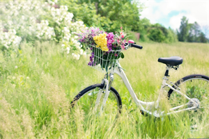 Fahrrad in der Wiese mit schönen Blumen im Fahrradkorb
